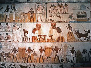 EGYPTIKAANSE KUNST: Oogstscène. Muurschildering in het graf van Menna in Elwe..., ca. 1400 voor Christus (kalksteen)