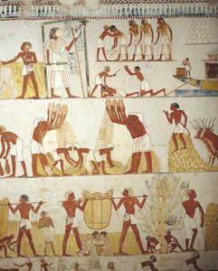 Egypte, Thebe, Luxor, Sheikh 