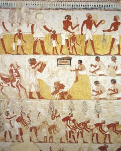 Egypte, Thebe, Luxor, Sheikh 