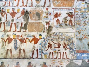 Egypte, Thebe, Luxor, Sheikh 