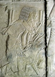 Egyptische oudheid: reliëf uit het graf van Kha em Het (Khaemhat) inspecteur van zolders en schrijver aan het hof van Amenophis III (TT57) mannen die bietenhoofden als offer aanbieden. 18e dynastie. 1530-1290 v.Chr. Vallei der Edelen. Luxor, Westoever, Egy