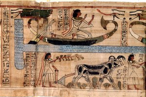 Egyptische antiquiteit: de naam van de overledene Aner vertegenwoordigt op de boot van Osiris, scène van ploegen en wegen van zielen (psychostase). Papyrus uit een Dodenboek, 20e dynastie, uit Thebe. Turijn, Egyptisch museum door Egyptian 18th Dynasty