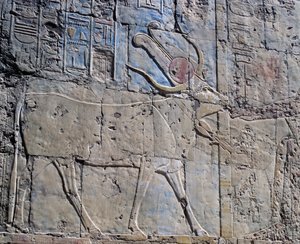 Godin Hathor in de vorm van een heilige koe, geschilderd reliëf, Kapel van Hathor, Dodentempel van Koningin Hatsjepsoet, ook bekend als Djeser-Djeseru, Deir el-Bahri, Thebe (Unesco Werelderfgoedlijst) door Egyptian 18th Dynasty