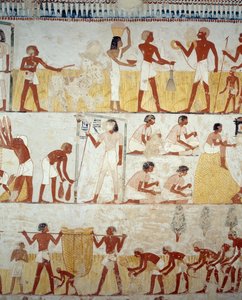 Oogsten van gewassen, dorsen en wannen van graan, detail van fresco
