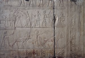 Farao Horemheb, afgebeeld tijdens landbouwarbeid in de velden van Iaru, ontvangt oogst aangeboden door boeren, kalkstenen muur reliëf, uit het Memphitische graf van Horemheb in Saqqara, Egyptische beschaving, Nieuwe Rijk, Dynastie XVIII