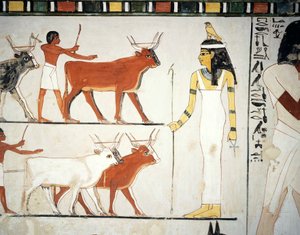 Herders en vee voor de godin Imentet, fresco, zuidmuur, longitudinale kamer, Thebaanse Tombe TT69, Sheikh Abd el-Qurna, Thebe (Unesco Werelderfgoedlijst) door Egyptian 18th Dynasty