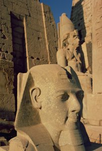 Kolossaal hoofd van Ramses II