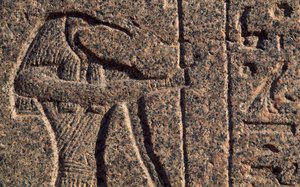 Afbeelding van Thoth, detail van inscriptie en reliëf van Thoth en Horus, sarcofaag van Amenhotep, Memphis (UNESCO Werelderfgoedlijst) door Egyptian 19th Dynasty