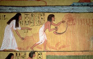 Detail van een oogstscène op de Oostmuur, uit het Graf van Sennedjem, Het Arbeidersdorp, Nieuwe Koninkrijk