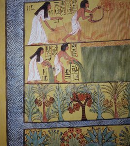 Detail van een oogstscène op de oostmuur