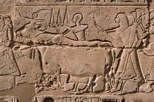 Detail van een reliëf dat mannen toont die een koe leiden, Ramesses II (1298-32 v.Chr.) binnenplaats door Egyptian 19th Dynasty
