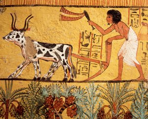 Egypte, Oud Thebe, Deir el-Medina, Graf van Sennedjem, muurschildering die Sennedjem toont die de velden van Iaru ploegt