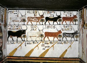Egypte, Thebe, Luxor, Vallei der Koninginnen, Graf van Nefertari, Annex aan voorhal, Muurschilderingen, Geïllustreerd Boek van de Doden, Hoofdstuk 89