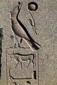 Hiëroglief met de naam van Horus, Grote Tempel van Amon, Tanis, Egypte, Nieuwe Koninkrijk, Dynastie XIX