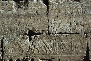 Reliëf, Tempel van Amon, Luxor, oud Thebe (UNESCO Werelderfgoedlijst) door Egyptian 19th Dynasty