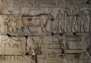 Reliëf, Tempel van Ramses II, Abydos, Egypte, Egyptische beschaving, Nieuwe Rijk, Dynastie XIX (foto) door Egyptian 19th Dynasty