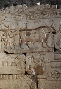 Reliëf, Tempel van Ramses II, Abydos, Egypte, Egyptische beschaving, Nieuwe Rijk, Dynastie XIX