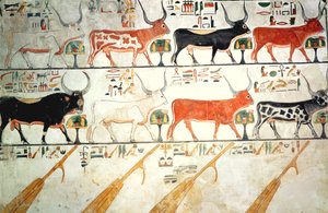 De zeven hemelse koeien en de heilige stier en de vier roeren van de hemel, uit het graf van Nefertari, Nieuwe Koninkrijk door Egyptian 19th Dynasty