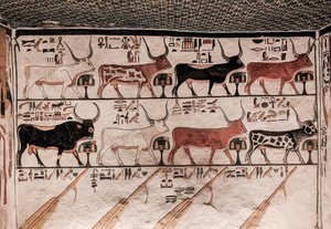 Graf van Nefertari