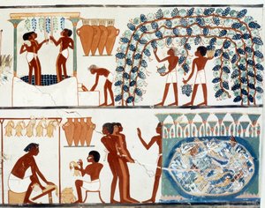 Egyptische kunst: druiven plukken en treden. Simile College van het graf van Nakht, periode van Amenophis II (ca. 1450-1425 v.Chr.). Parijs, College De France door Egyptian Egyptian
