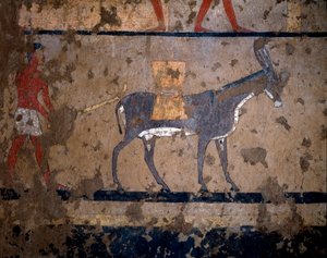 Egyptische oudheid: het transport van graan op de rug van een muilezel. Temperaschildering van de muur van het graf van de kanselier van koning Iti (of Ity) 2200-2000 v.Chr. Uit El Ghebelen, Luxor. Turijn, Egyptisch museum