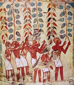 Egyptische grafmuurschildering