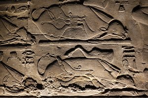 Luxor Tempel: Geofferde koeien (reliëf) door Egyptian Egyptian