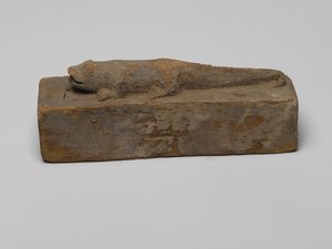 Kleine kist voor een krokodil
