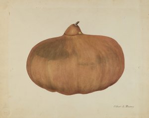 Pioniers Zoutkalebas