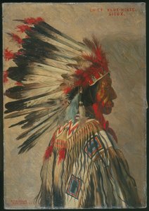 Hoofdman Blue Horse, Sioux door Elbridge Ayer Burbank
