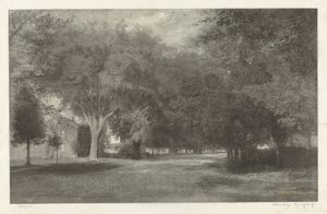 New England Elms door Elbridge Kingsley