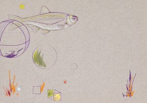 Drijven, 2014 (aquarelpotlood en bladgoud op papier)