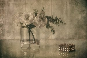  door Elena Arjona