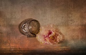  door Elena Arjona