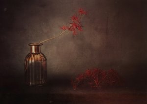  door Elena Arjona