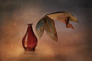 Rode vaas met herfstbladeren door Elena Arjona