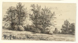 Landschap met boomgroepen