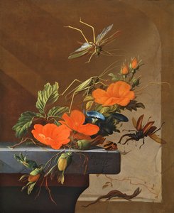 Een Boeket Rozen, Winde en Hazelnoten met Sprinkhanen, Vliegend Hert en Hagedis