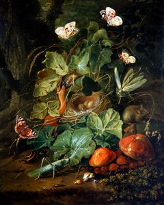 Een bosbodem stilleven met fruit en vlinders