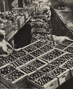 De Rode Tuinman collectieve boerderij. Illustratie uit USSR Bouwt Socialisme, 1933