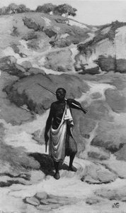  door Elihu Vedder