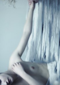 Zusters van Frost, 2016