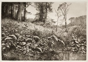 Een Zomermiddag door Elis F. Miller