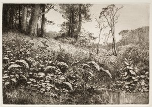 Een Zomermiddag, 1882 door Elis F. Miller