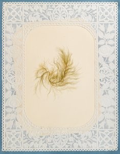 Zeewieren door Eliza A. Jordson