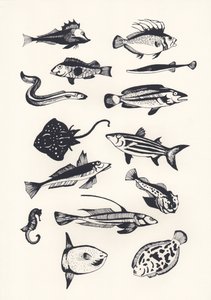 Monotone Vlakke Vis, 2015 door Eliza Southwood