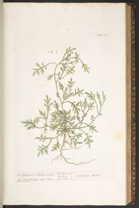 Plaat 120, uit 