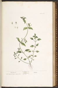 Plate 164, uit 