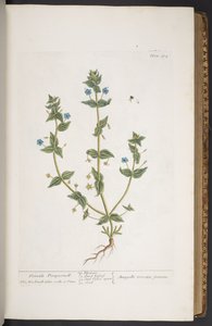 Plaat 274, uit 