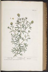 Plate 310, uit 